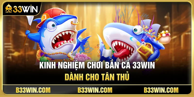 Kinh Nghiệm Chơi Bắn Cá 33WIN Dành Cho Tân Thủ 1 Kinh Nghiệm Chơi Bắn Cá 33WIN Dành Cho Tân Thủ